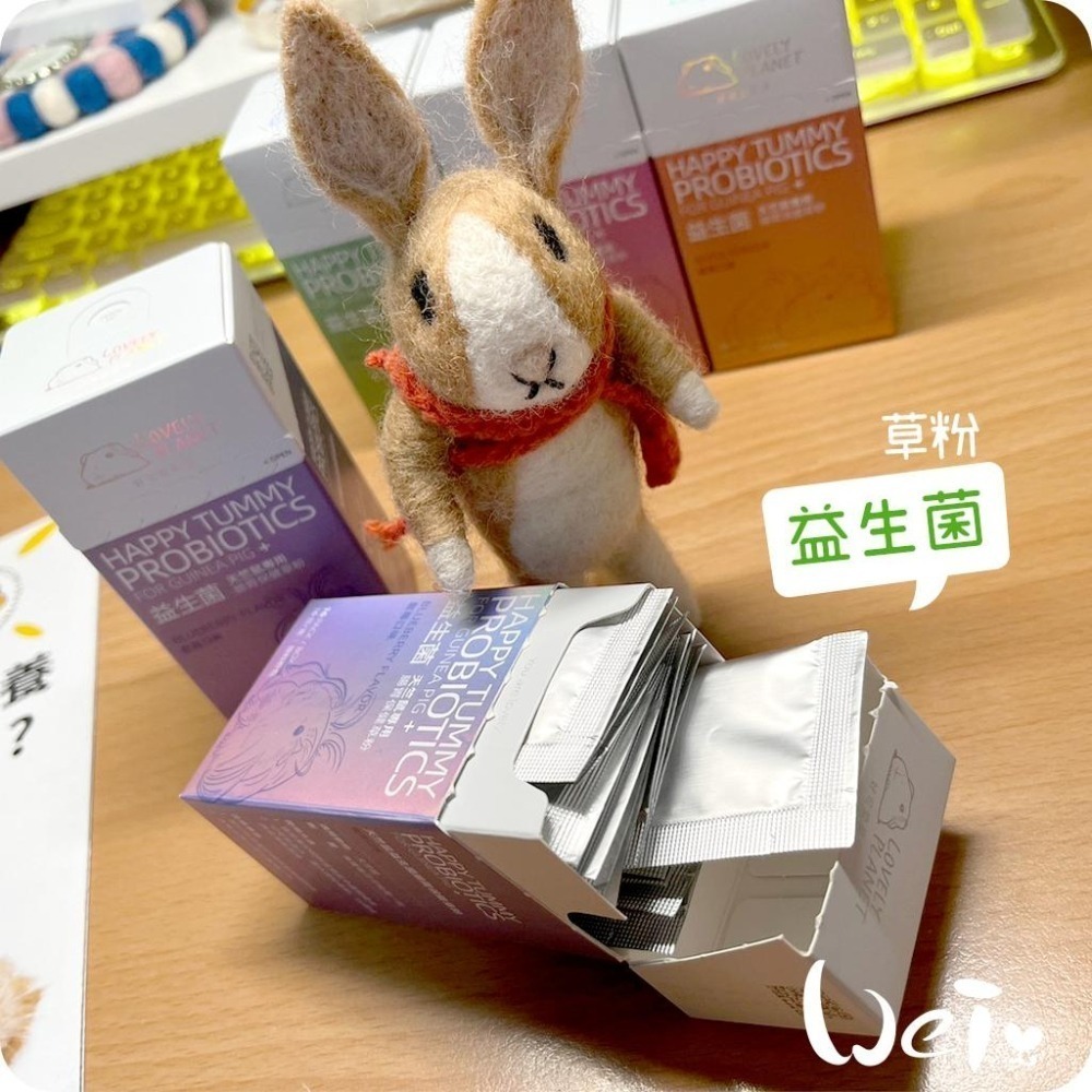 魏啥麻-好可愛星球天竺鼠益生菌 藍莓 1盒入 (草粉狀 腸道保健 促進食慾) Lovely Planet (保健品)-細節圖4