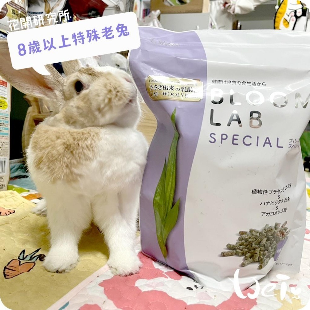 魏啥麻-日本WOOLY花開研究所8歲以上特殊老兔 800g(無小麥 低鈣  鬆軟 植物胎盤 寒天寡糖 繡球菌)老兔飼料-細節圖2
