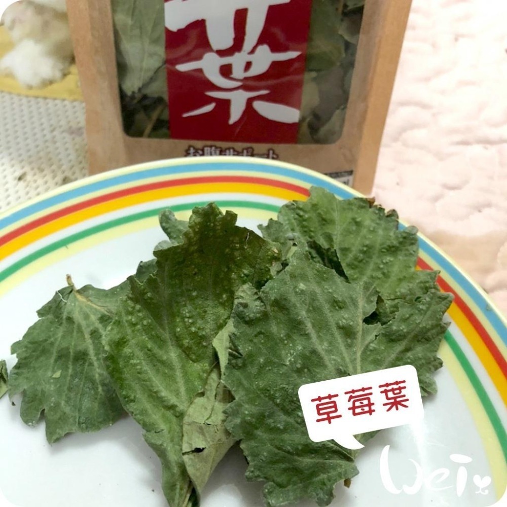 魏啥麻-日本GEX 草莓葉 13g (兔 天竺鼠零食)健康食譜-細節圖2