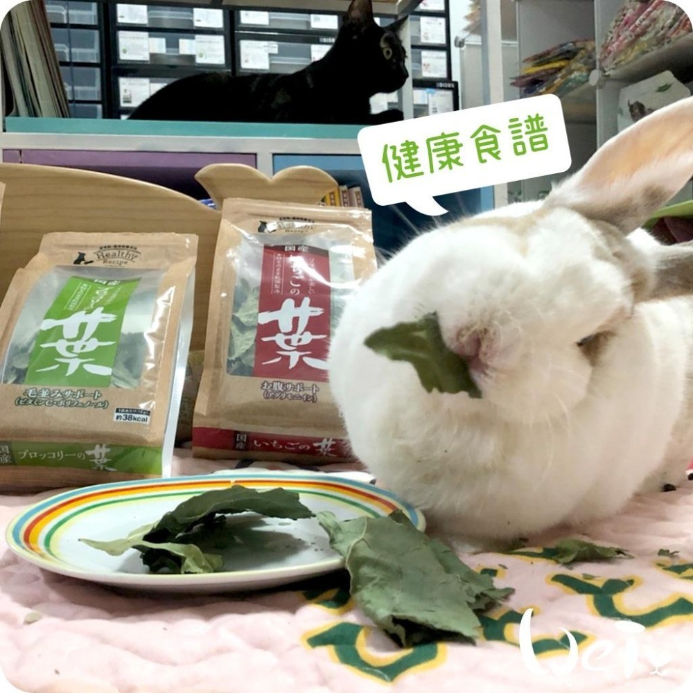 魏啥麻-日本GEX 草莓葉 13g (兔 天竺鼠零食)健康食譜-細節圖4