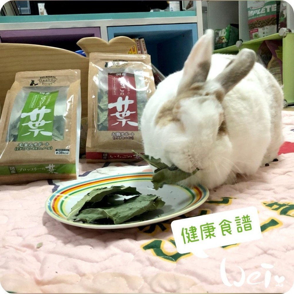 魏啥麻-日本GEX 草莓葉 13g (兔 天竺鼠零食)健康食譜-細節圖5