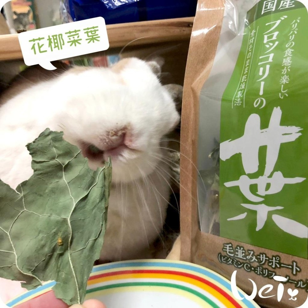 魏啥麻-日本GEX 花椰菜葉 12g (兔 天竺鼠零食)健康食譜-細節圖2