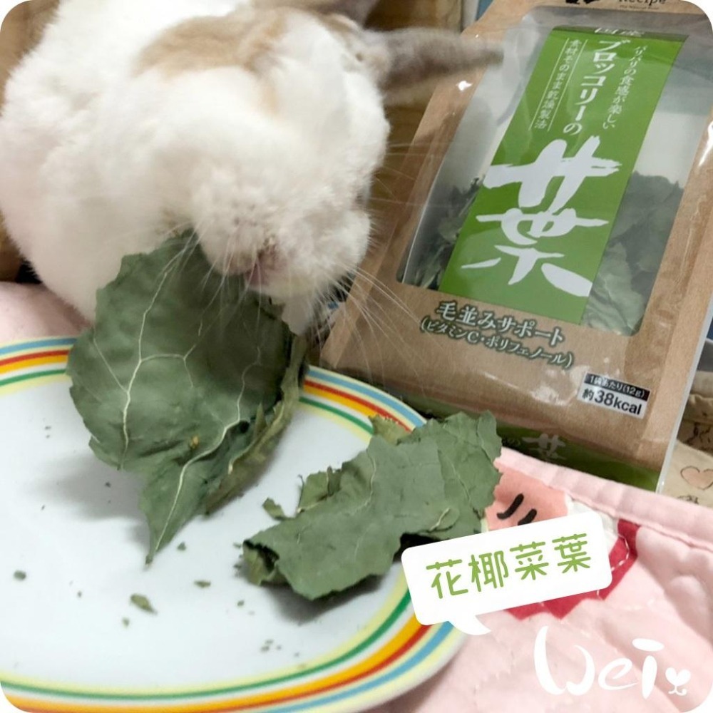 魏啥麻-日本GEX 花椰菜葉 12g (兔 天竺鼠零食)健康食譜-細節圖4