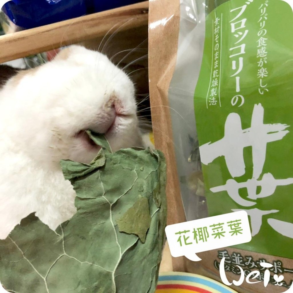魏啥麻-日本GEX 花椰菜葉 12g (兔 天竺鼠零食)健康食譜-細節圖5