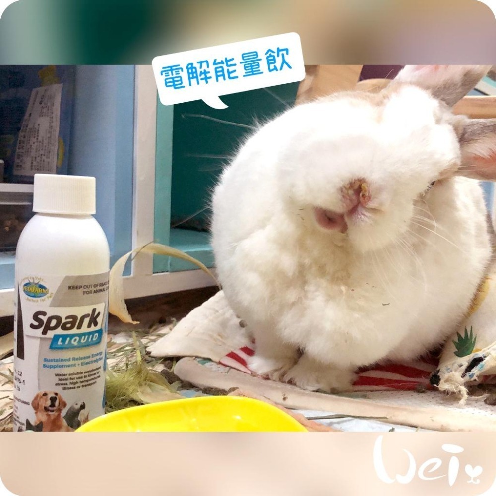 魏啥麻-澳洲飛達發VETAFARM 電解能量飲 125ml (葡萄糖 檸檬酸與多種營養)兔 天竺鼠保健品-細節圖3