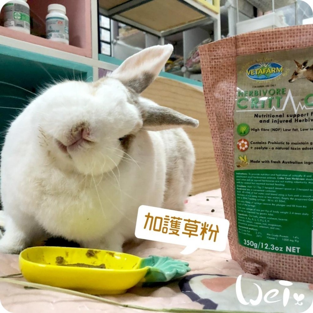魏啥麻-澳洲飛達發Vetafarm加護調理機能草粉 (全苜蓿 極細無糖 益生菌 粗纖維高蛋白質高(14%)兔 天竺鼠-細節圖3