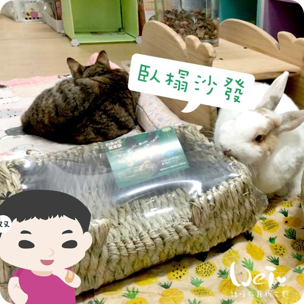 魏啥麻-日本KAWAI 提摩西 兔子沙發臥榻L 草編玩具 (兔 天竺鼠 龍貓牧草玩具)-細節圖4