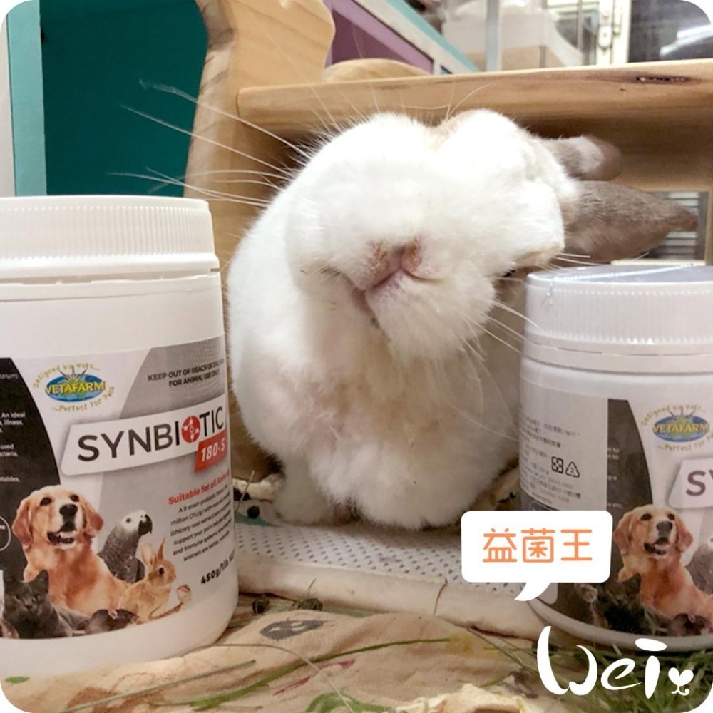 魏啥麻-澳洲飛達發VETAFARM 益菌王 (9種益生菌(活菌)+7種消化酶和益生元)兔 天竺鼠保健品-細節圖2