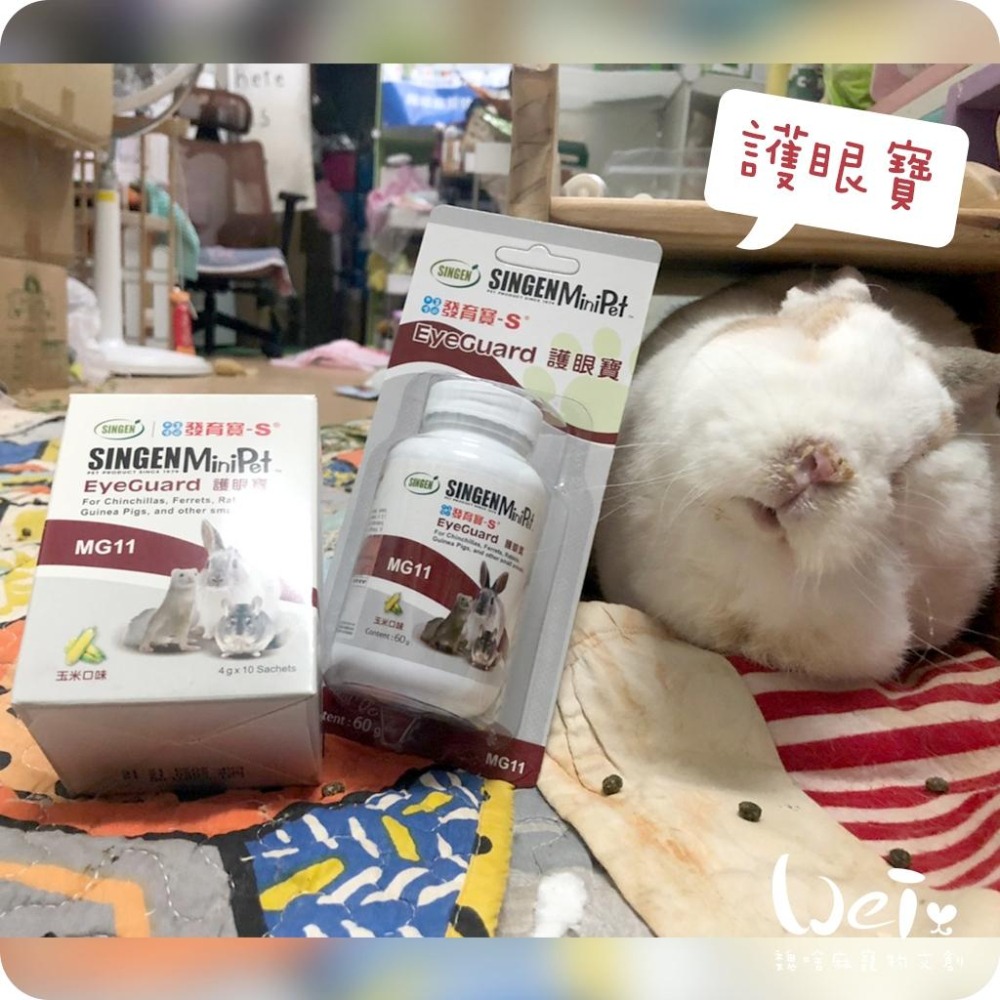 魏啥麻-信元發育寶小寵護眼寶 60g (眼睛保健 葉黃素 玉米黃素 枸杞萃取物)玉米風味(兔 天竺鼠保健品-細節圖7