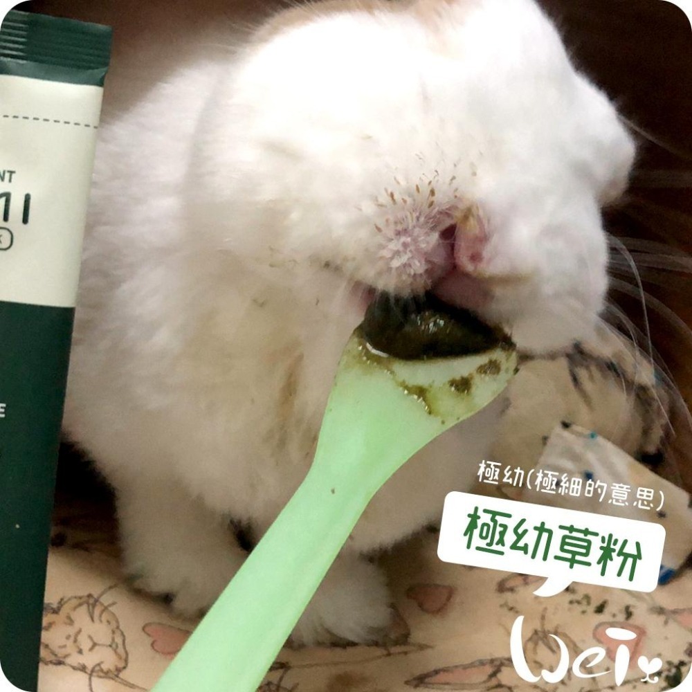 魏啥麻-MOMI摩米營養護極幼草粉 香蕉口味 (極細)(低鈣 無糖 粗纖維高 蛋白質高(16%)兔 天竺鼠保健品-細節圖6