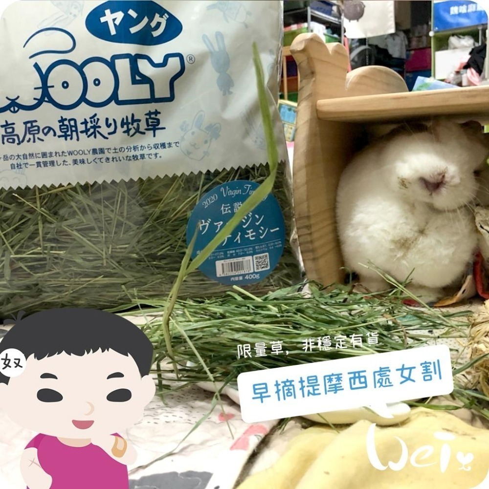 魏啥麻-日本WOOLY高原的早摘提摩西處女割 400g (梗多)2025年度草(兔 天竺鼠 龍貓牧草)-細節圖7