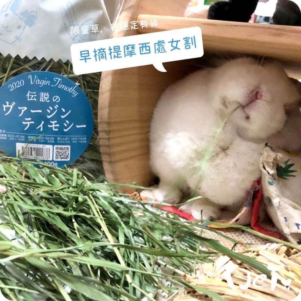 魏啥麻-日本WOOLY高原的早摘提摩西處女割 400g (梗多)2025年度草(兔 天竺鼠 龍貓牧草)-細節圖8