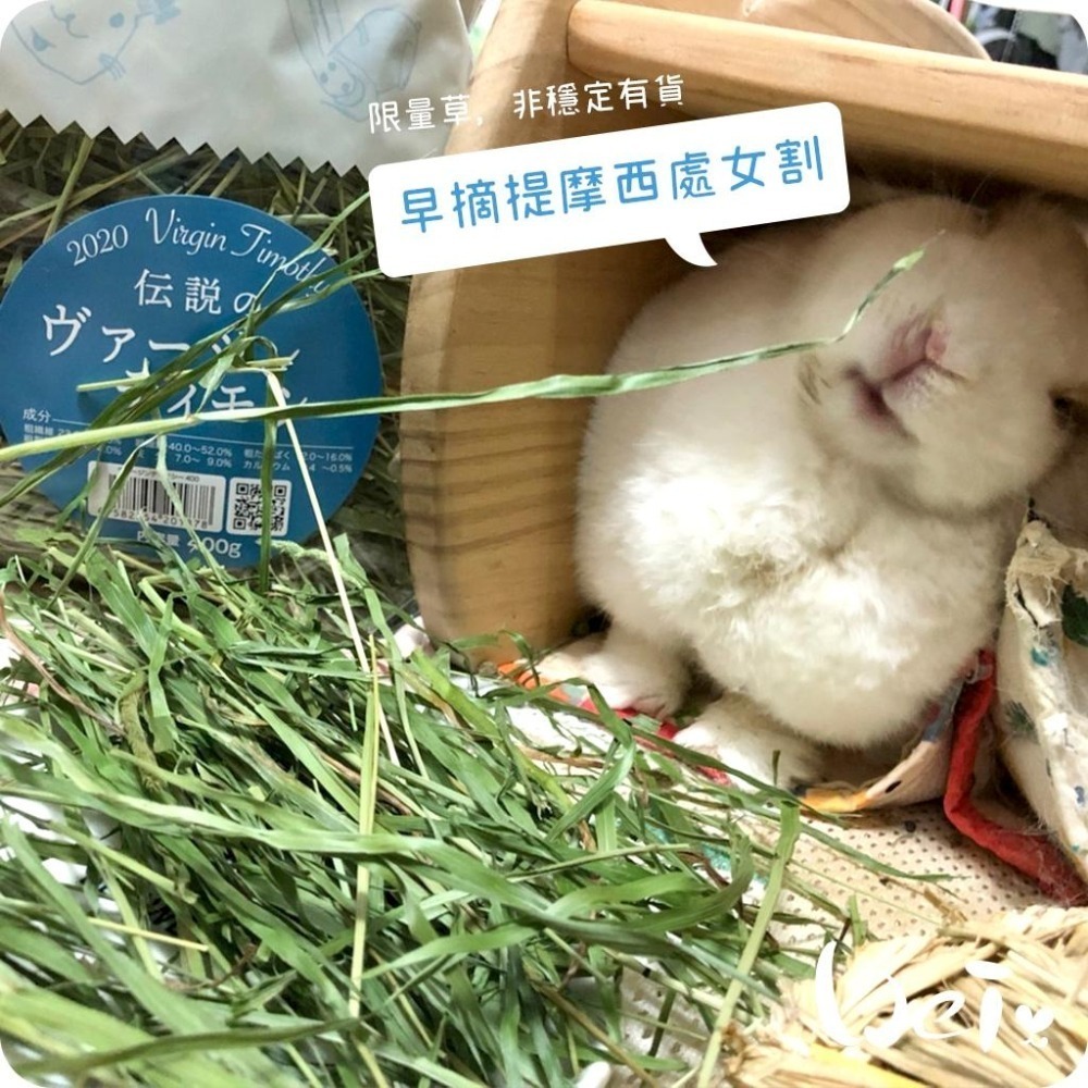魏啥麻-日本WOOLY高原的早摘提摩西處女割 400g (梗多)2025年度草(兔 天竺鼠 龍貓牧草)-細節圖9