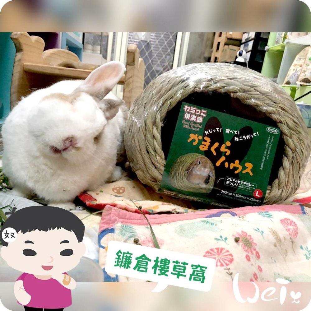 魏啥麻-日本KAWAI 提摩西草編兔窩 (兔子鎌倉樓)(兔 天竺鼠 龍貓牧草玩具)-細節圖4