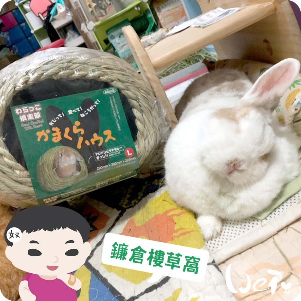 魏啥麻-日本KAWAI 提摩西草編兔窩 (兔子鎌倉樓)(兔 天竺鼠 龍貓牧草玩具)-細節圖5