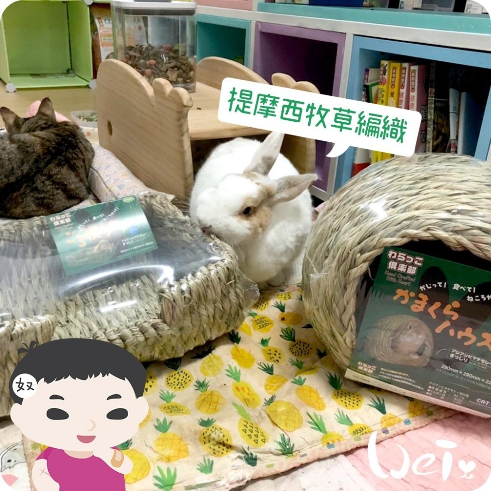 魏啥麻-日本KAWAI 提摩西草編兔窩 (兔子鎌倉樓)(兔 天竺鼠 龍貓牧草玩具)-細節圖6