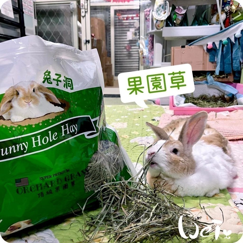 魏啥麻-美國Rabbit Hole Hay兔子洞 果園草 285g / 908g (兔 天竺鼠牧草)-細節圖3