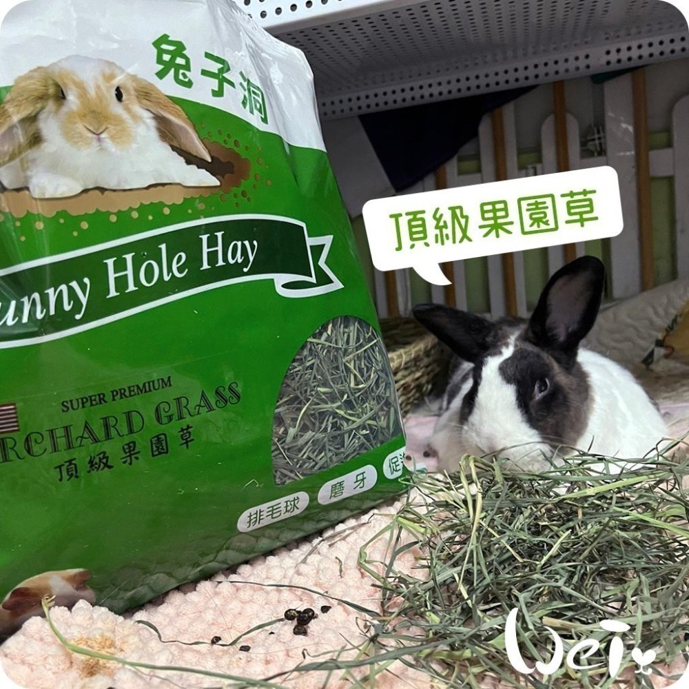 魏啥麻-美國Rabbit Hole Hay兔子洞 果園草 285g / 908g (兔 天竺鼠牧草)-細節圖4