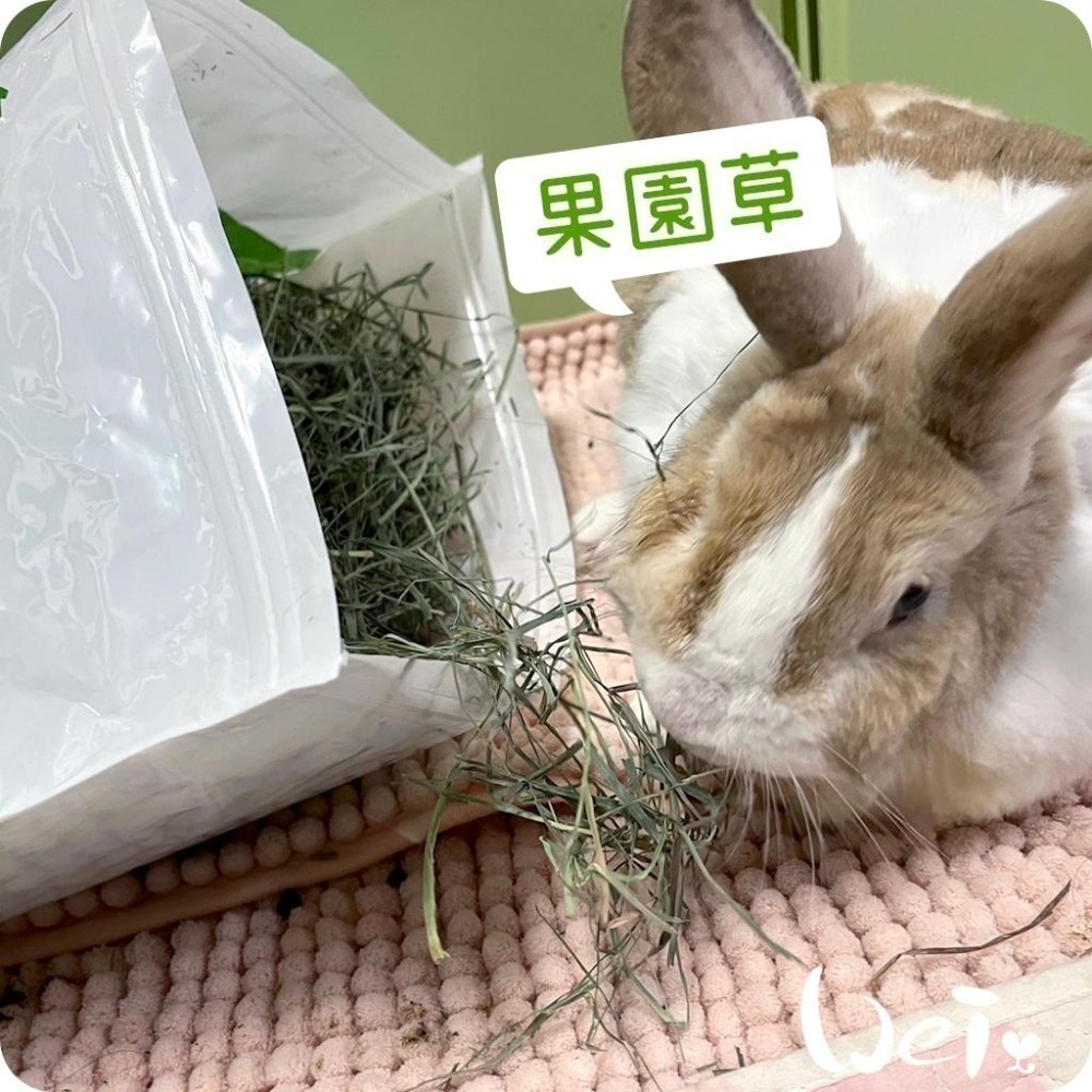 魏啥麻-美國Rabbit Hole Hay兔子洞 果園草 285g / 908g (兔 天竺鼠牧草)-細節圖5