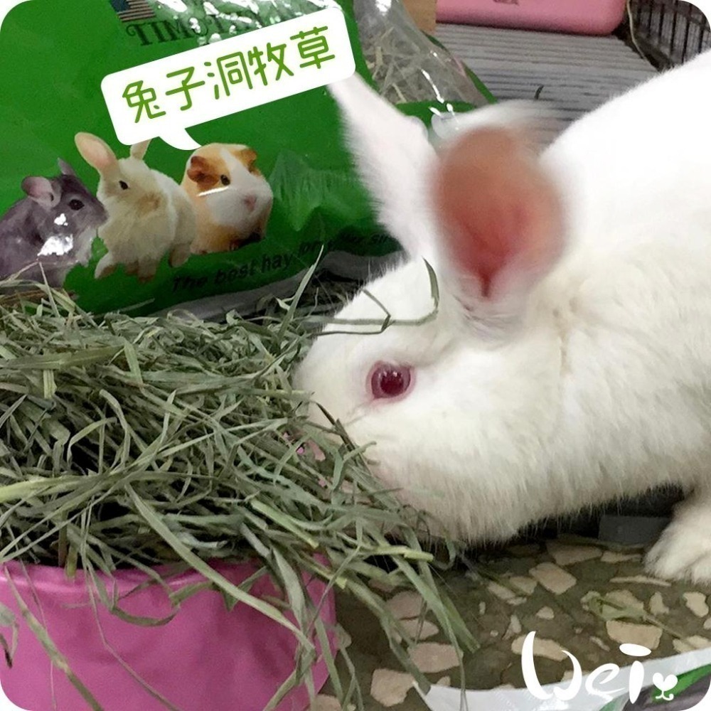 魏啥麻-美國Rabbit Hole Hay兔子洞 果園草 285g / 908g (兔 天竺鼠牧草)-細節圖7
