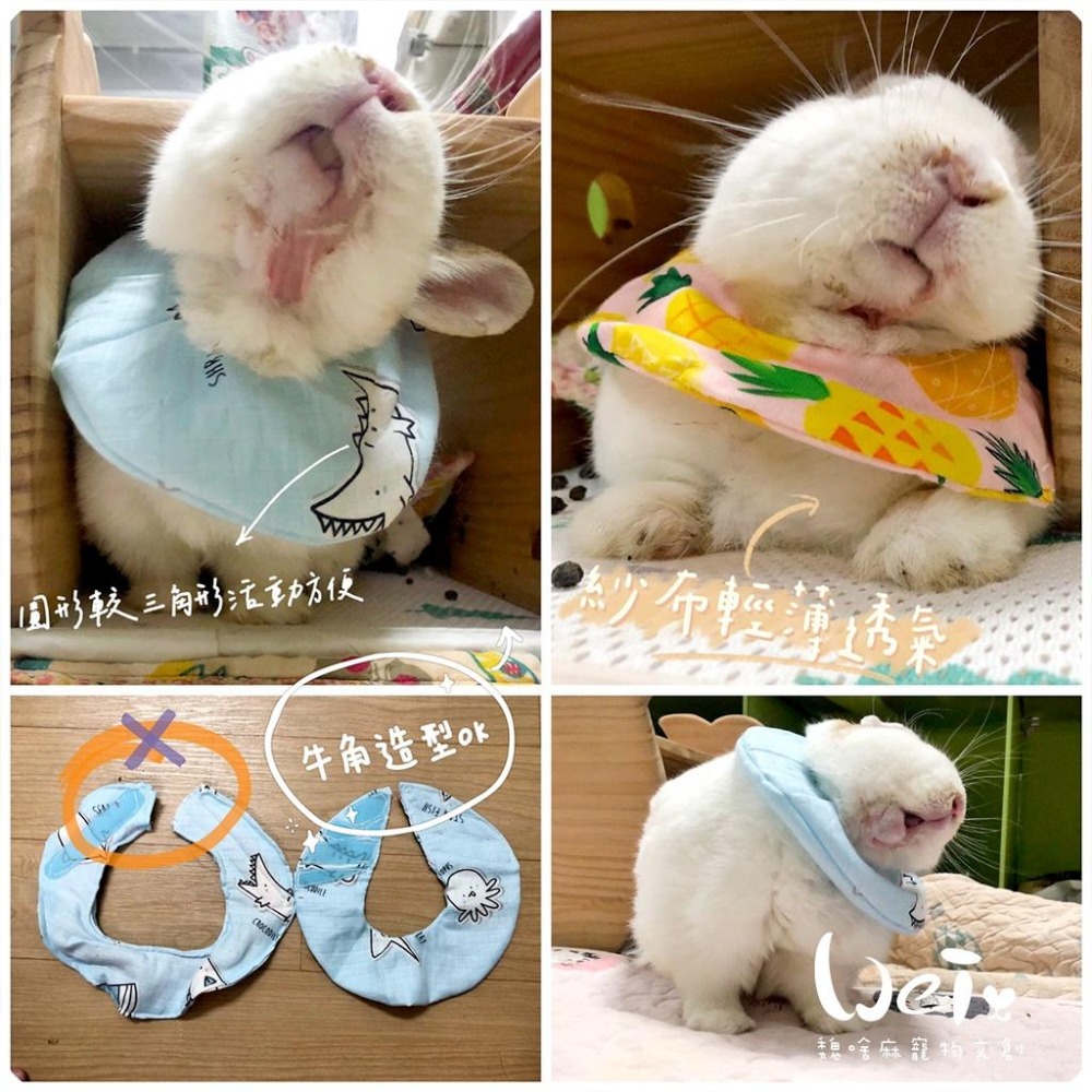 魏啥麻手作-寵物圍兜兜 / 紗布口水巾 / 軟頭套  / 老病照護灌食餵藥 - 貓兔天竺鼠寵物用品-細節圖4