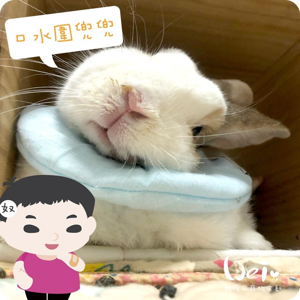 魏啥麻手作-寵物圍兜兜 / 紗布口水巾 / 軟頭套  / 老病照護灌食餵藥 - 貓兔天竺鼠寵物用品-細節圖7