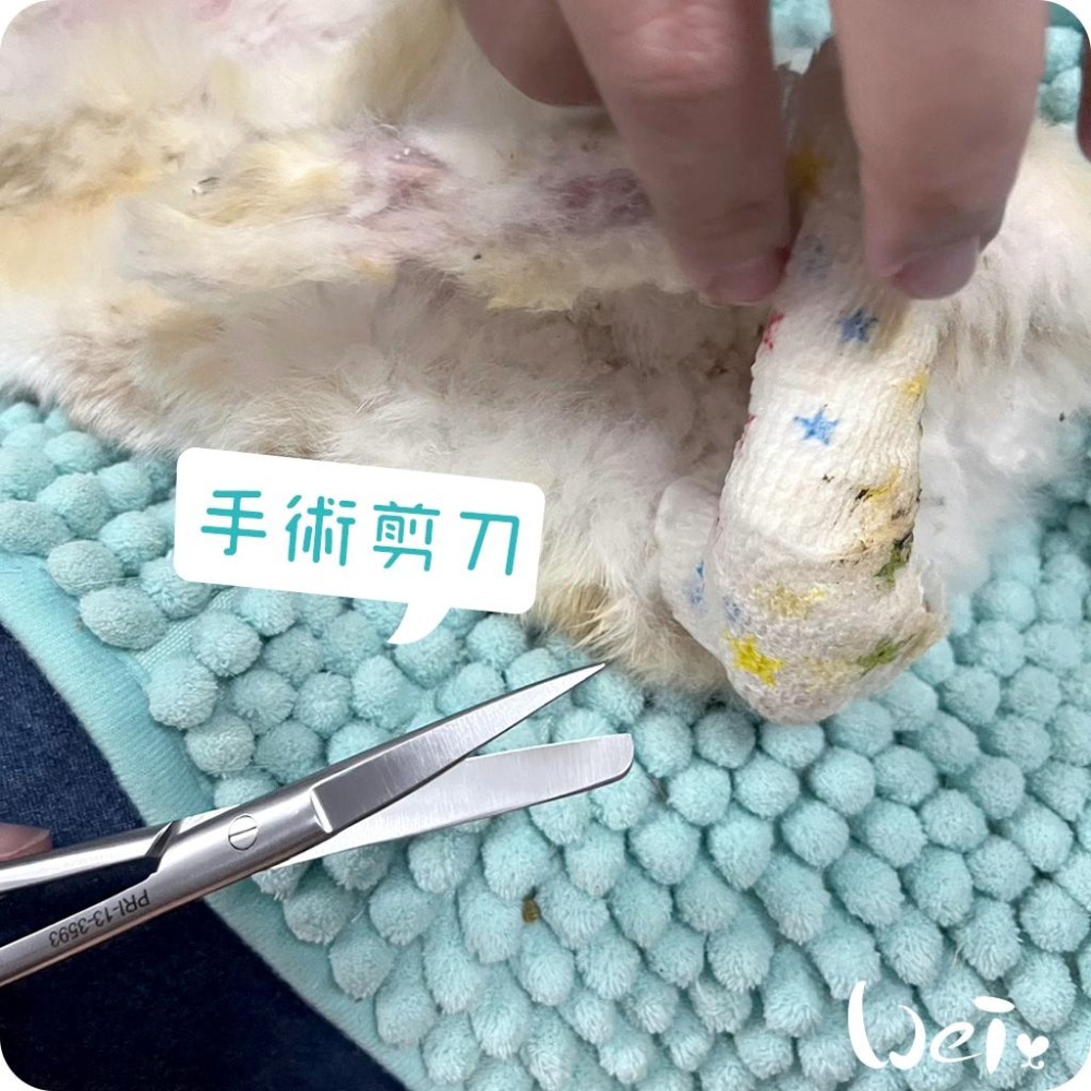 魏啥麻-(包紮) 外科手術剪刀－－－直尖圓 (醫療剪刀/不銹鋼/食物料理剪刀)-細節圖6