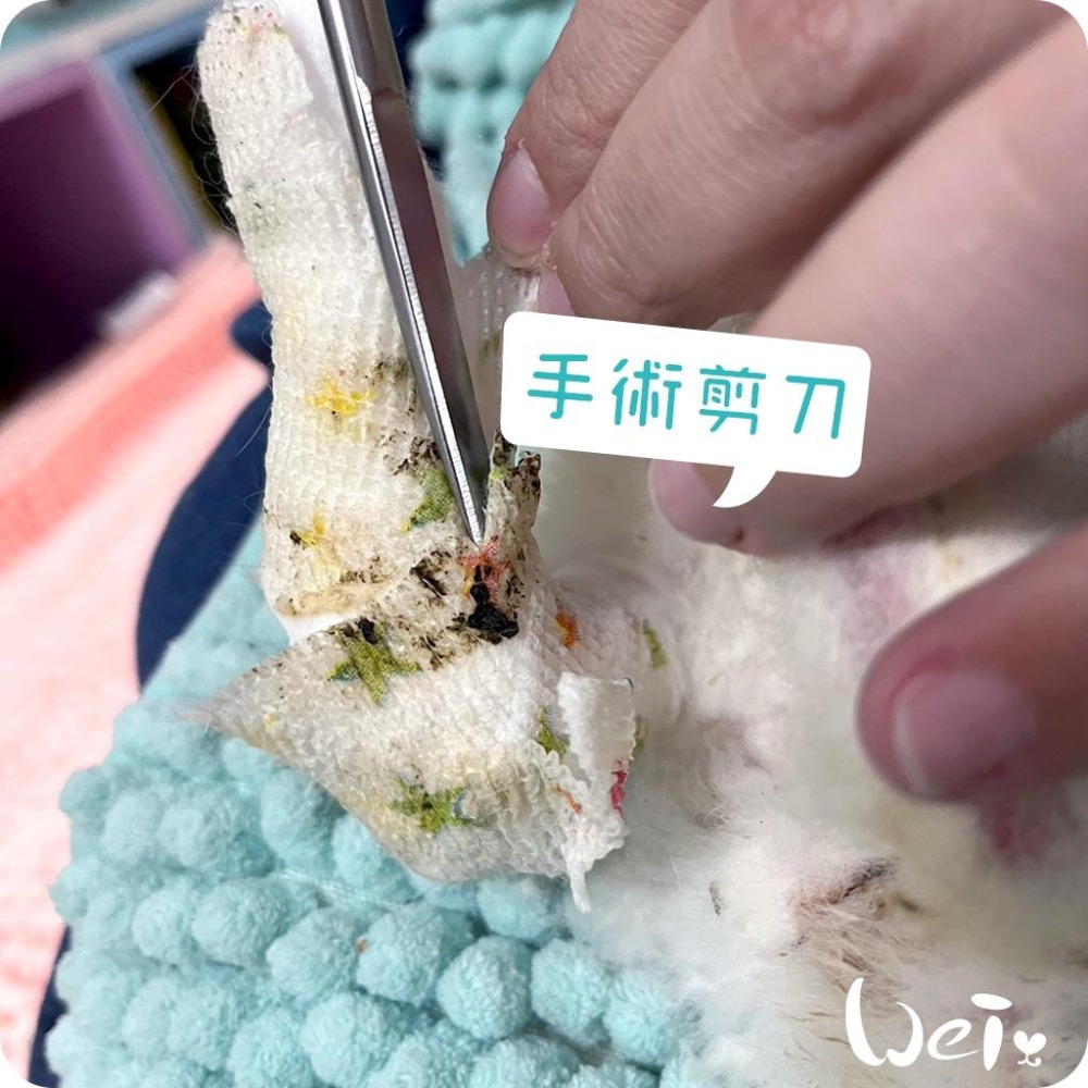 魏啥麻-(包紮) 外科手術剪刀－－－直尖圓 (醫療剪刀/不銹鋼/食物料理剪刀)-細節圖7