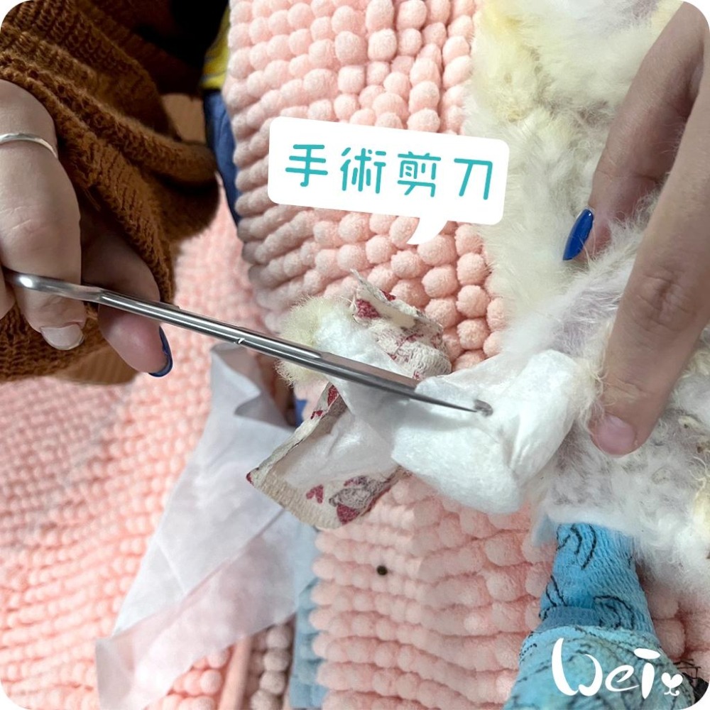 魏啥麻-(包紮) 外科手術剪刀－－－直尖圓 (醫療剪刀/不銹鋼/食物料理剪刀)-細節圖8