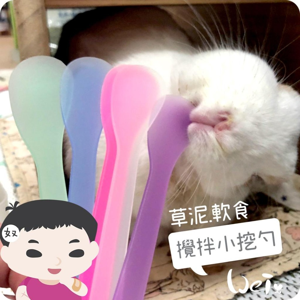 魏啥麻-軟食 / 草泥攪拌小挖勺 (兔 天竺鼠 龍貓草粉 灌食)-細節圖2