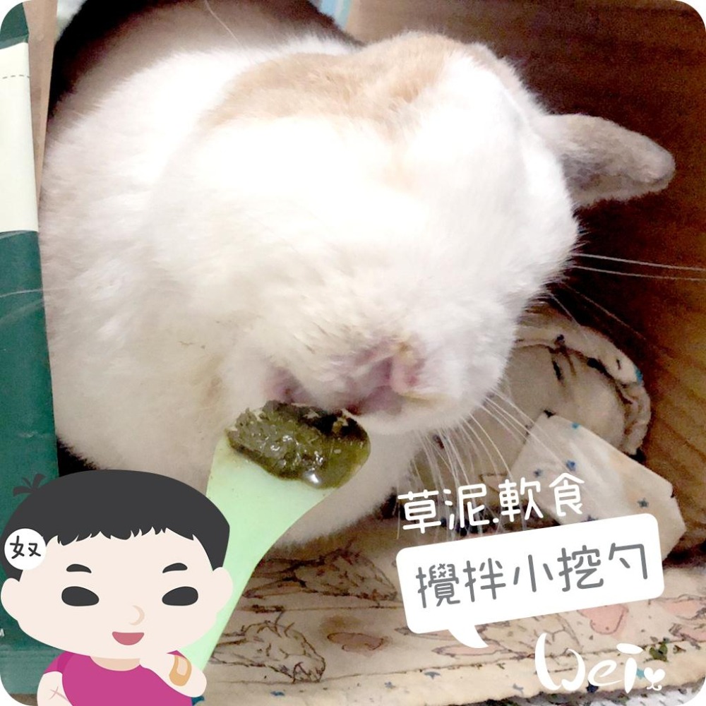 魏啥麻-軟食 / 草泥攪拌小挖勺 (兔 天竺鼠 龍貓草粉 灌食)-細節圖3