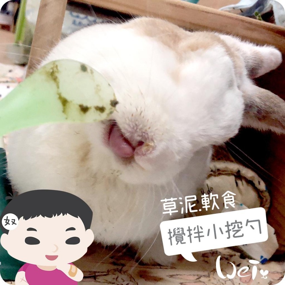 魏啥麻-軟食 / 草泥攪拌小挖勺 (兔 天竺鼠 龍貓草粉 灌食)-細節圖4