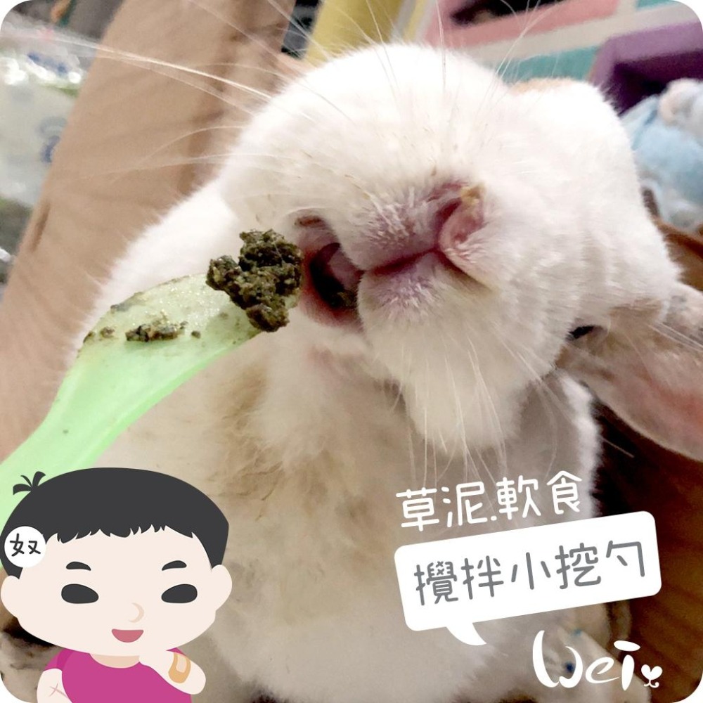 魏啥麻-軟食 / 草泥攪拌小挖勺 (兔 天竺鼠 龍貓草粉 灌食)-細節圖6
