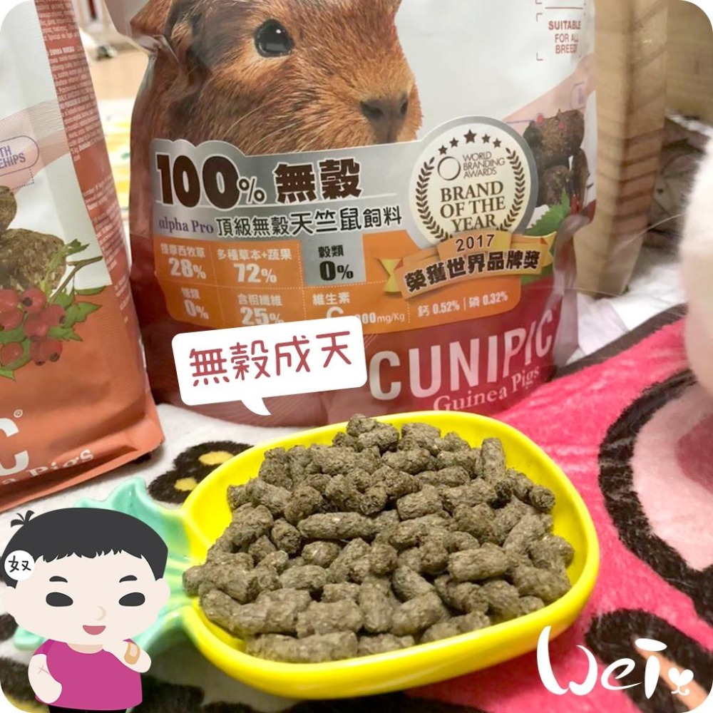 魏啥麻-西班牙CUNIPIC頂級無穀天竺鼠飼料 500g (低鈣 無穀無苜蓿 粗纖維(25%)蛋白質高(14%))-細節圖2