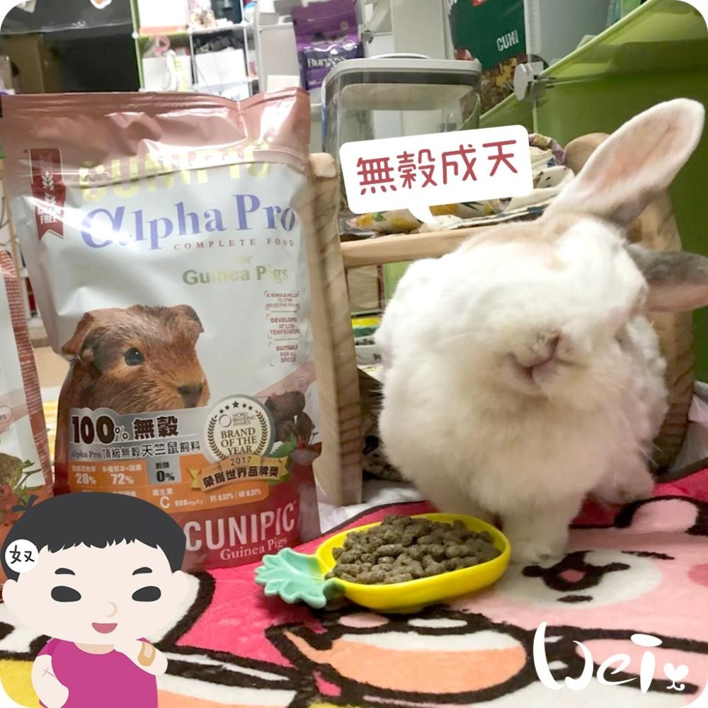 魏啥麻-西班牙CUNIPIC頂級無穀天竺鼠飼料 500g (低鈣 無穀無苜蓿 粗纖維(25%)蛋白質高(14%))-細節圖3
