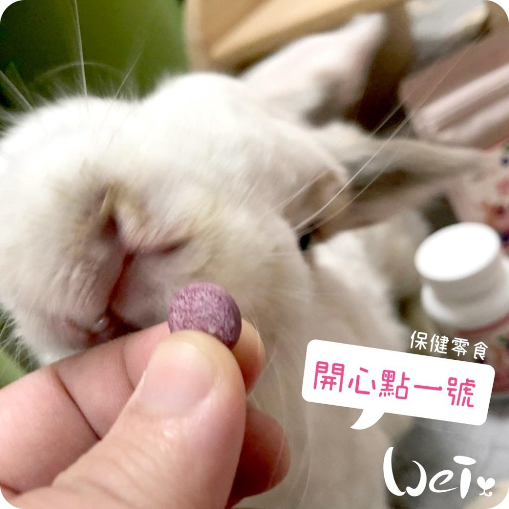 魏啥麻-CI兔 Citwo LAB 開心點1號(每錠相當於30顆新鮮藍莓)(較鬆軟易碎)(兔 天竺鼠保健品 零食)-細節圖3