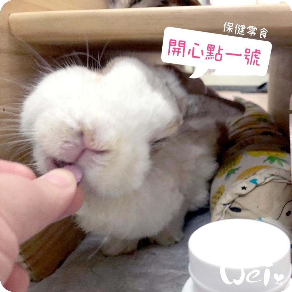 魏啥麻-CI兔 Citwo LAB 開心點1號(每錠相當於30顆新鮮藍莓)(較鬆軟易碎)(兔 天竺鼠保健品 零食)-細節圖4