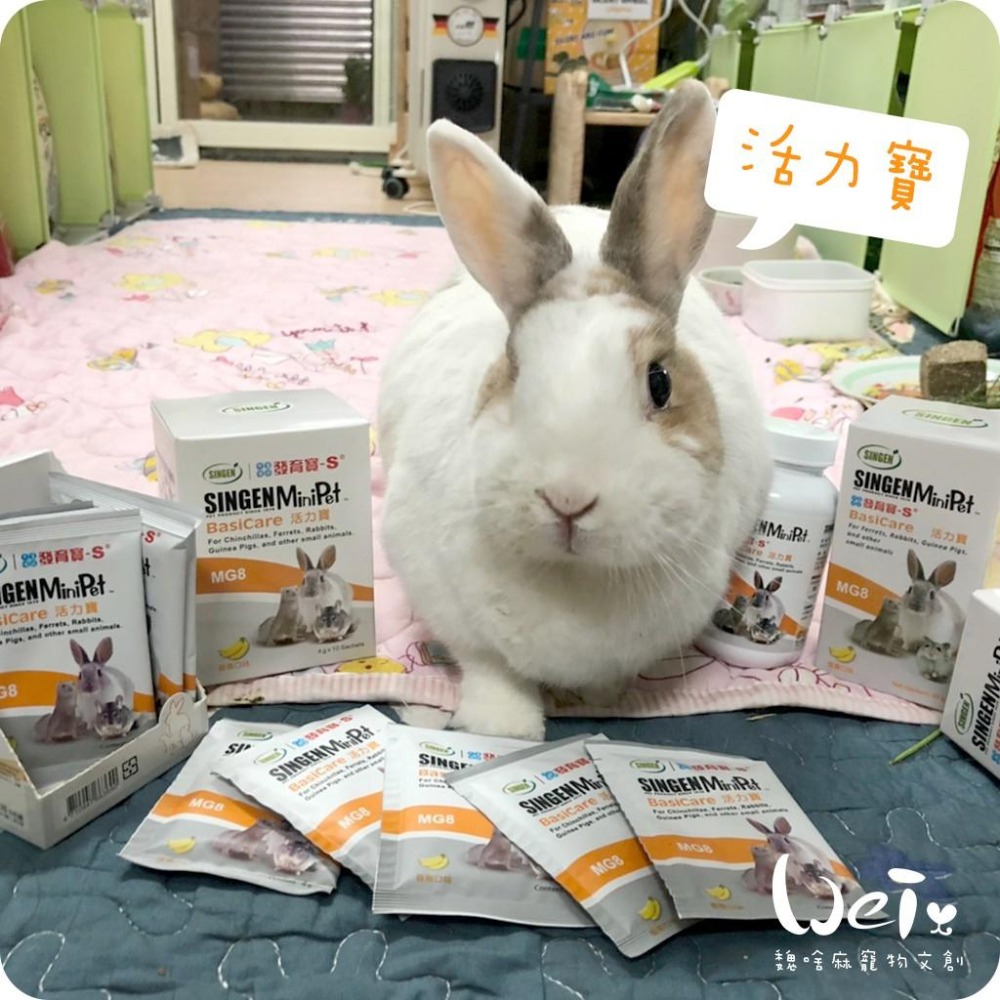 魏啥麻-信元發育寶 寵物活力寶(舒緩情緒 日常補給) 香蕉口味(兔 天竺鼠保健品)-細節圖2