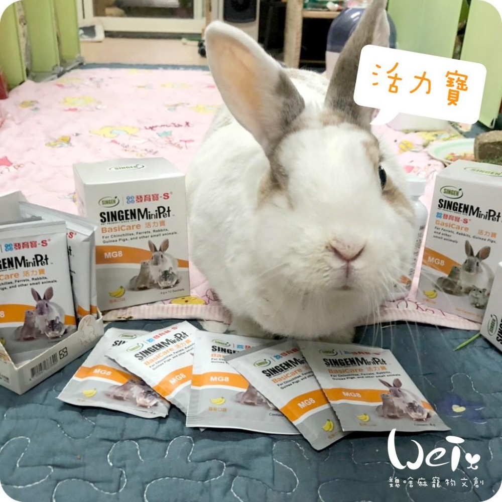 魏啥麻-信元發育寶 寵物活力寶(舒緩情緒 日常補給) 香蕉口味(兔 天竺鼠保健品)-細節圖3