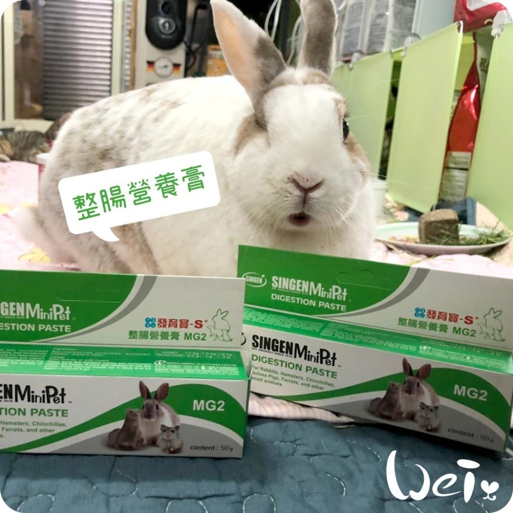 魏啥麻-信元發育寶整腸營養膏 50g (腸胃保健 高濃度鼠兔專用益生菌+木瓜酵素 膳食纖維)兔 天竺鼠-細節圖2