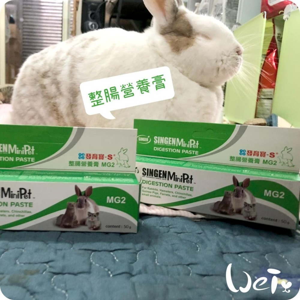魏啥麻-信元發育寶整腸營養膏 50g (腸胃保健 高濃度鼠兔專用益生菌+木瓜酵素 膳食纖維)兔 天竺鼠-細節圖3