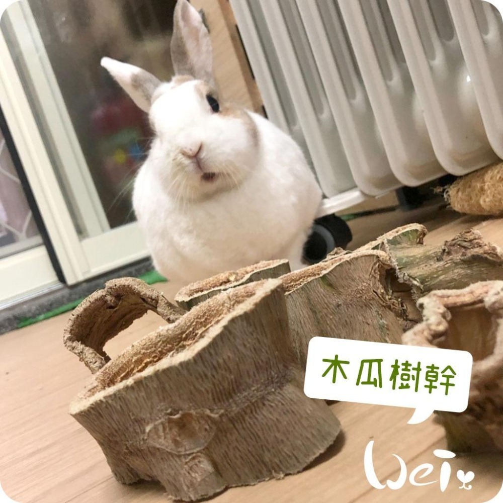 魏啥麻-(特價)台灣國產木瓜樹幹 (S/M/L/XL/巨樹根) 磨牙啃木(純天然無添加 請少量給予)寵物手工零食-細節圖2