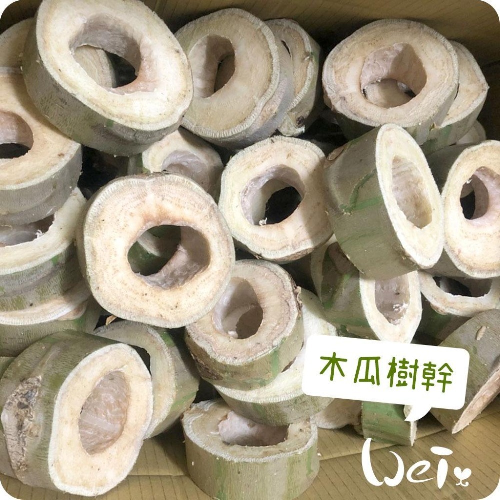 魏啥麻-(特價)台灣國產木瓜樹幹 (S/M/L/XL/巨樹根) 磨牙啃木(純天然無添加 請少量給予)寵物手工零食-細節圖4