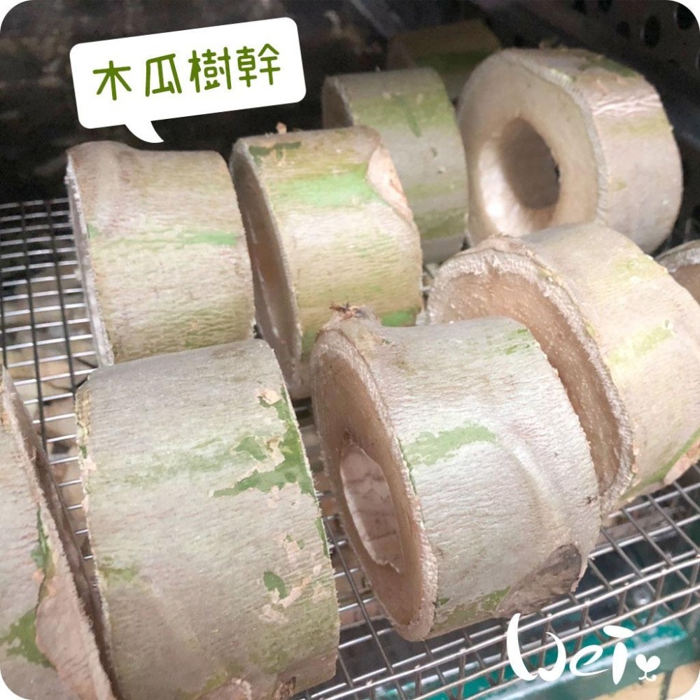 魏啥麻-(特價)台灣國產木瓜樹幹 (S/M/L/XL/巨樹根) 磨牙啃木(純天然無添加 請少量給予)寵物手工零食-細節圖6