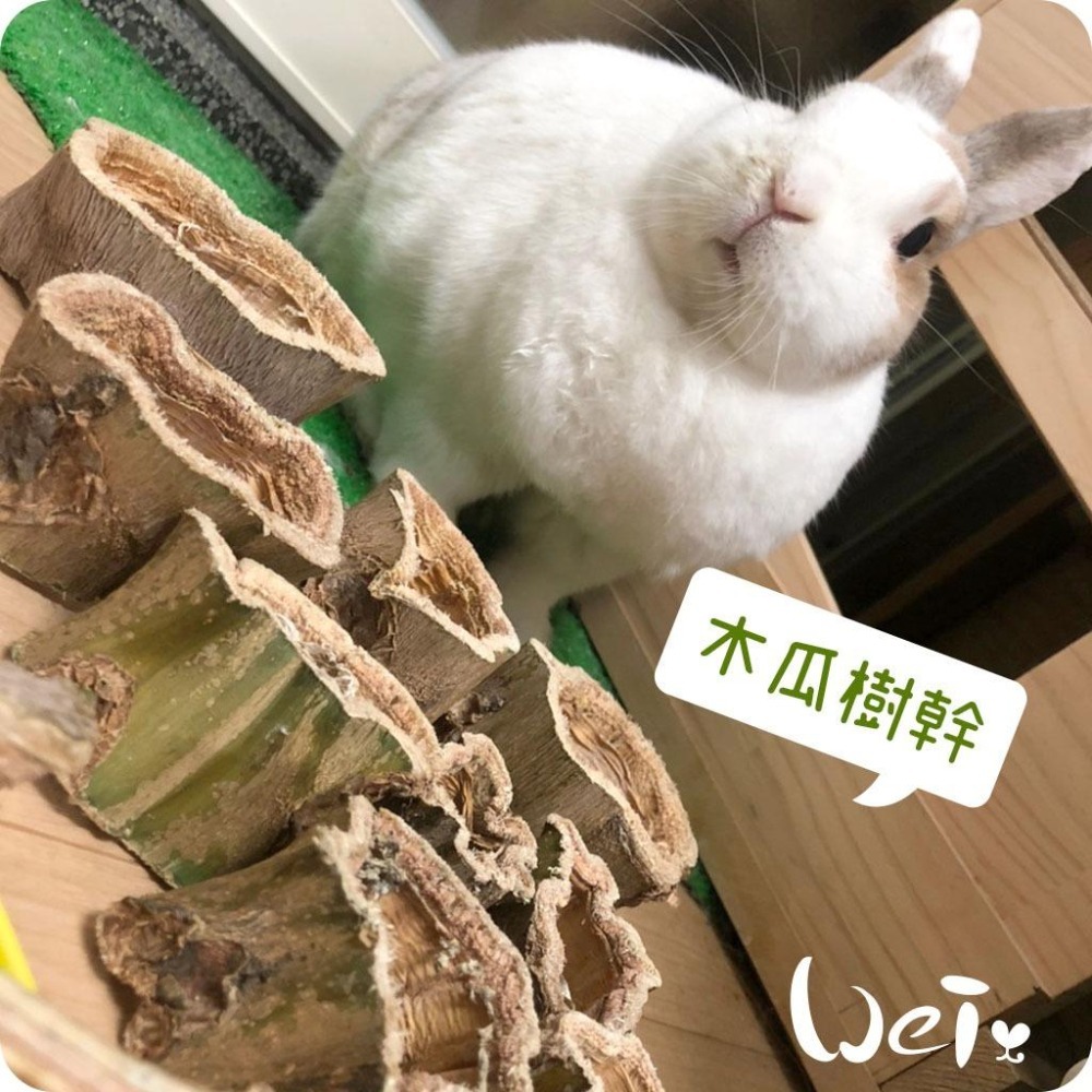魏啥麻-(特價)台灣國產木瓜樹幹 (S/M/L/XL/巨樹根) 磨牙啃木(純天然無添加 請少量給予)寵物手工零食-細節圖9