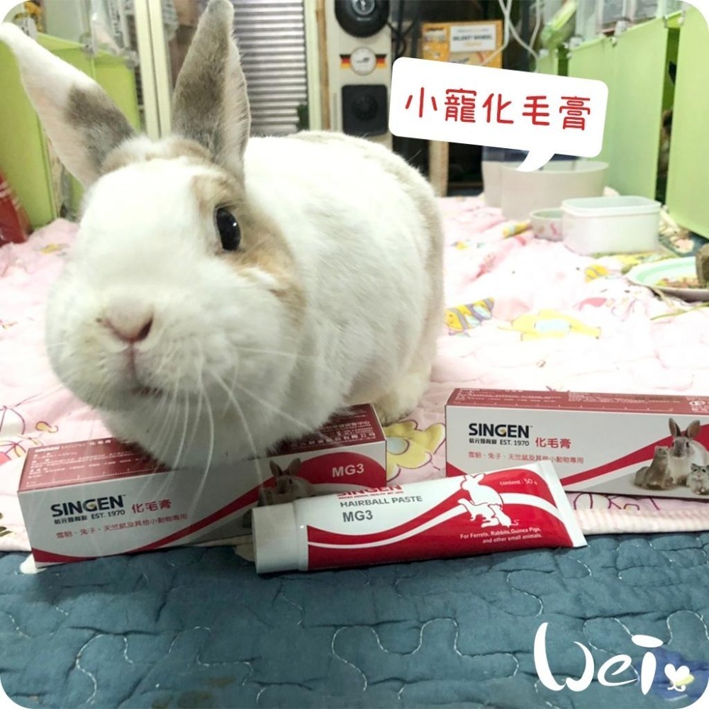 魏啥麻-信元發育寶小寵化毛膏 50g (天然麥芽萃取物與植物油 含卵磷脂+牛磺酸) 麥芽口味(兔 天竺鼠-細節圖2