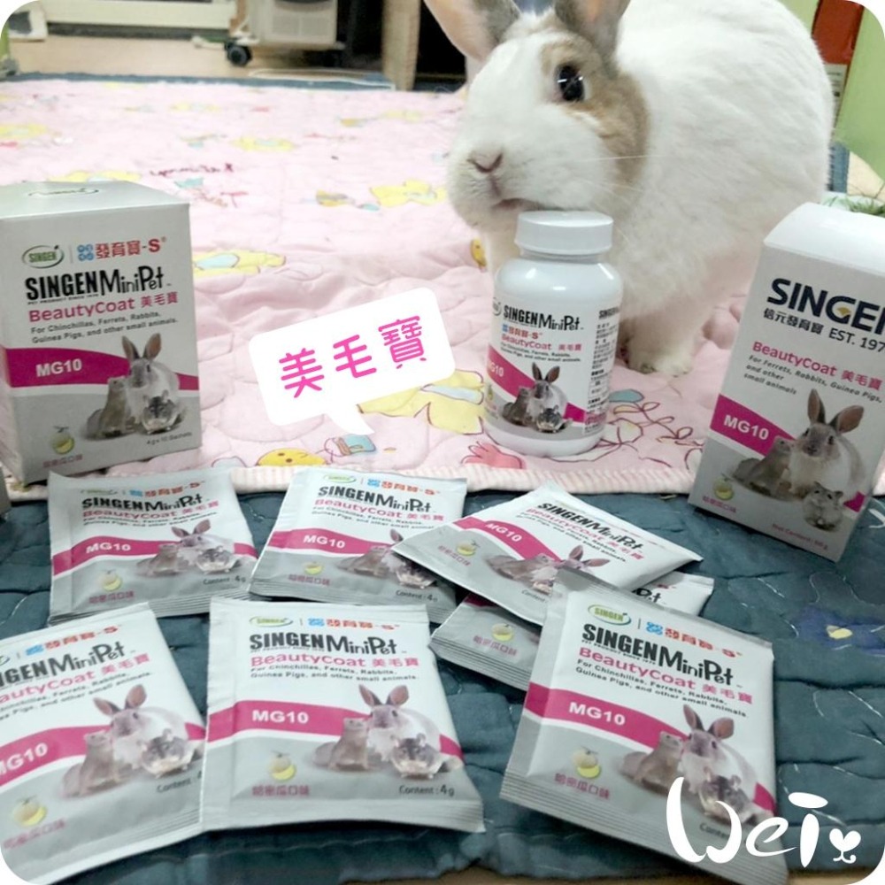 魏啥麻-信元發育寶 小寵美毛寶 60g(含綜合維生素 肌醇 MSM+天然綠藻)哈密瓜風味(兔 天竺鼠保健品-細節圖2