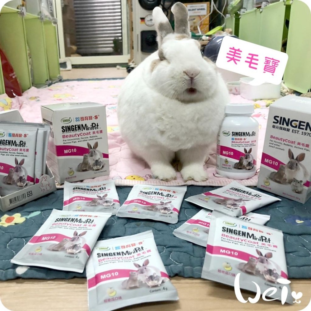 魏啥麻-信元發育寶 小寵美毛寶 60g(含綜合維生素 肌醇 MSM+天然綠藻)哈密瓜風味(兔 天竺鼠保健品-細節圖3