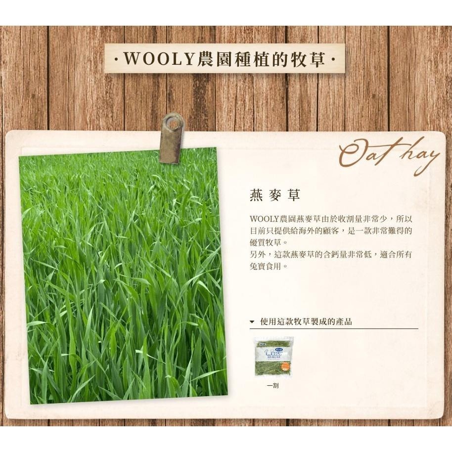 魏啥麻-日本WOOLY高原的早割燕麥草 400g(含鈣量低) 2024年度草 (兔 天竺鼠 龍貓牧草)-細節圖2