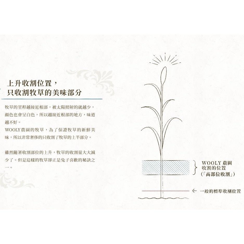 魏啥麻-日本WOOLY高原的早割燕麥草 400g(含鈣量低) 2024年度草 (兔 天竺鼠 龍貓牧草)-細節圖4